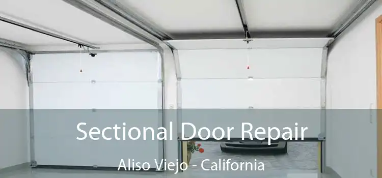 Sectional Door Repair Aliso Viejo - California