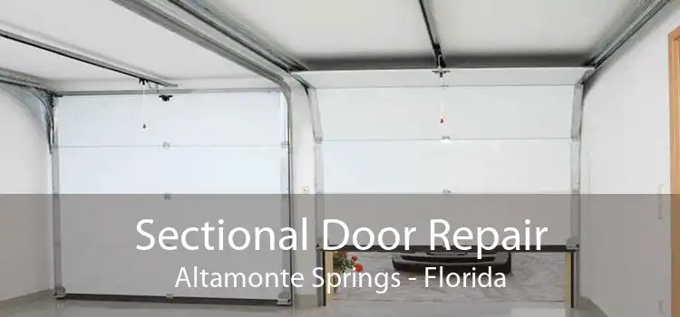 Sectional Door Repair Altamonte Springs - Florida