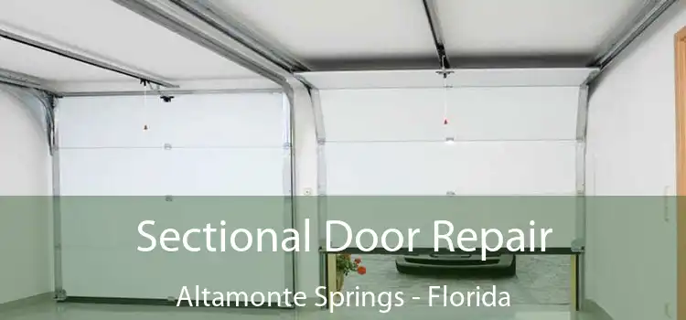 Sectional Door Repair Altamonte Springs - Florida