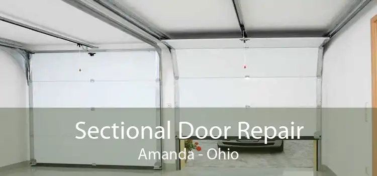 Sectional Door Repair Amanda - Ohio