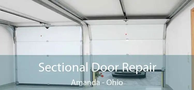 Sectional Door Repair Amanda - Ohio