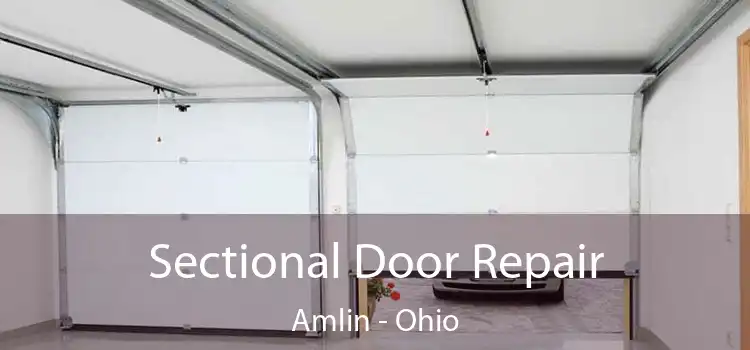 Sectional Door Repair Amlin - Ohio