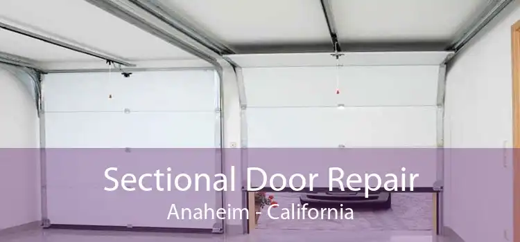 Sectional Door Repair Anaheim - California