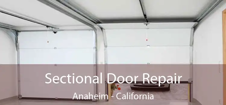 Sectional Door Repair Anaheim - California