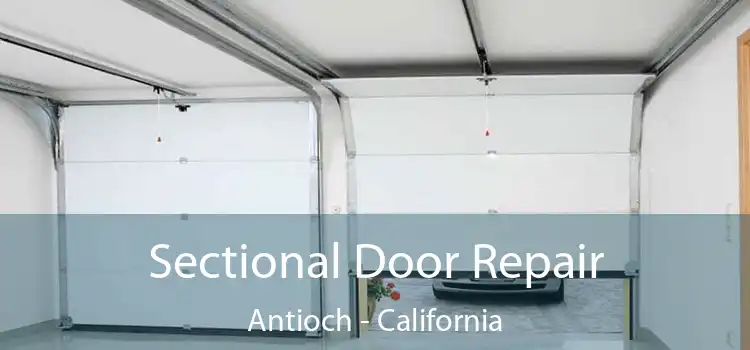 Sectional Door Repair Antioch - California