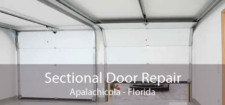 Sectional Door Repair Apalachicola - Florida