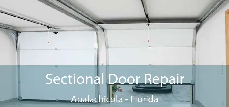 Sectional Door Repair Apalachicola - Florida