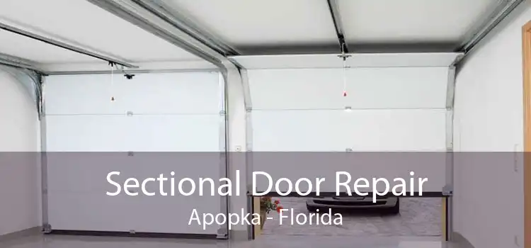 Sectional Door Repair Apopka - Florida
