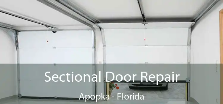 Sectional Door Repair Apopka - Florida