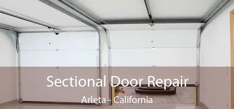 Sectional Door Repair Arleta - California