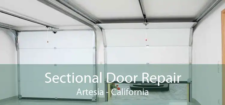 Sectional Door Repair Artesia - California