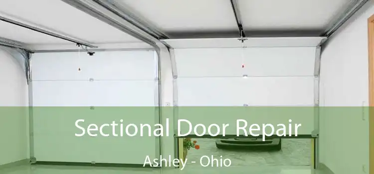 Sectional Door Repair Ashley - Ohio