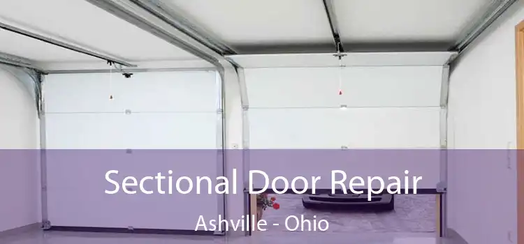 Sectional Door Repair Ashville - Ohio