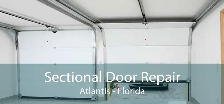 Sectional Door Repair Atlantis - Florida