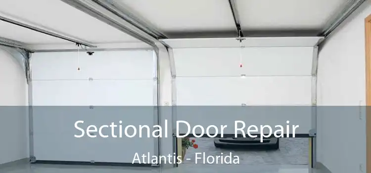 Sectional Door Repair Atlantis - Florida