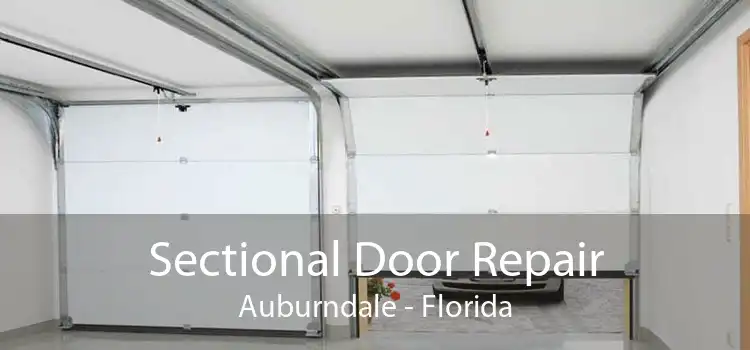 Sectional Door Repair Auburndale - Florida