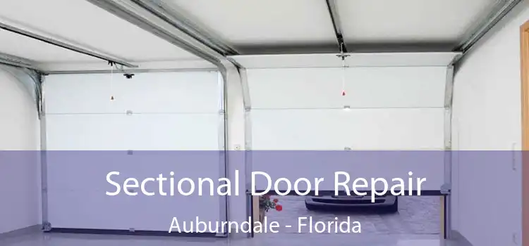 Sectional Door Repair Auburndale - Florida