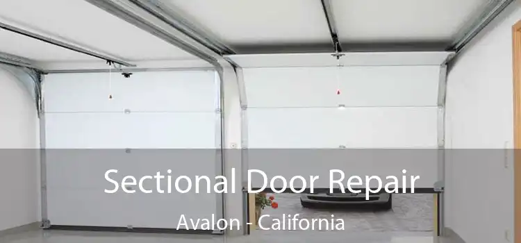 Sectional Door Repair Avalon - California