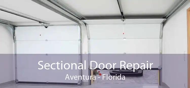 Sectional Door Repair Aventura - Florida
