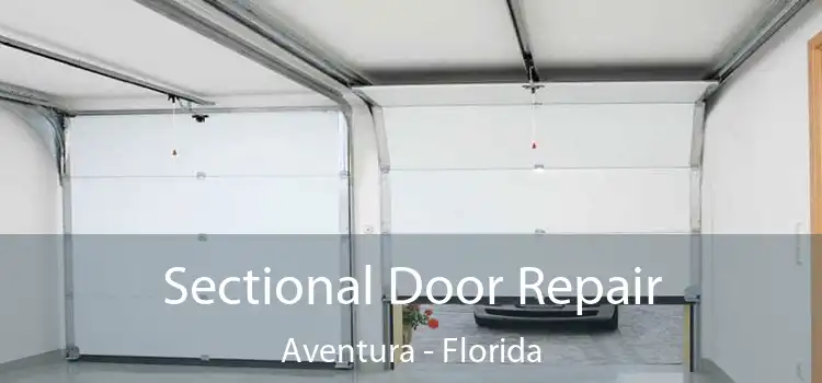 Sectional Door Repair Aventura - Florida