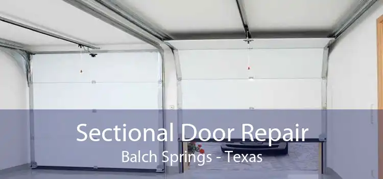 Sectional Door Repair Balch Springs - Texas