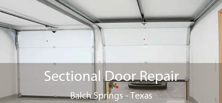 Sectional Door Repair Balch Springs - Texas