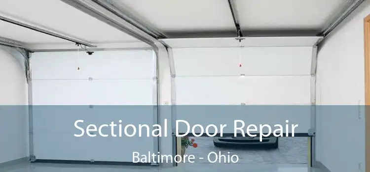 Sectional Door Repair Baltimore - Ohio