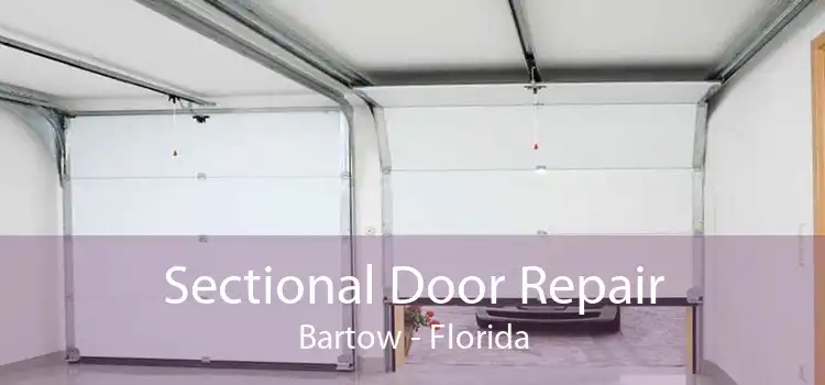 Sectional Door Repair Bartow - Florida