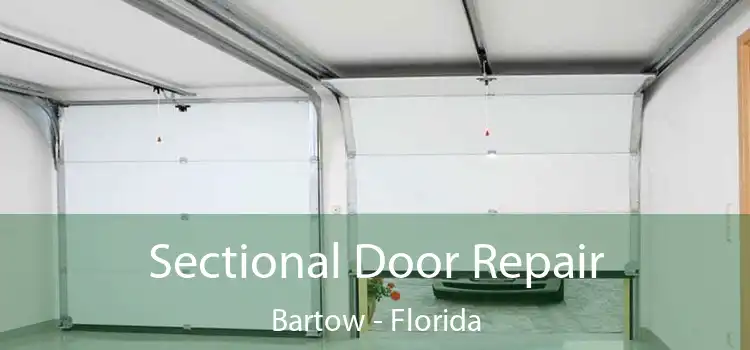 Sectional Door Repair Bartow - Florida