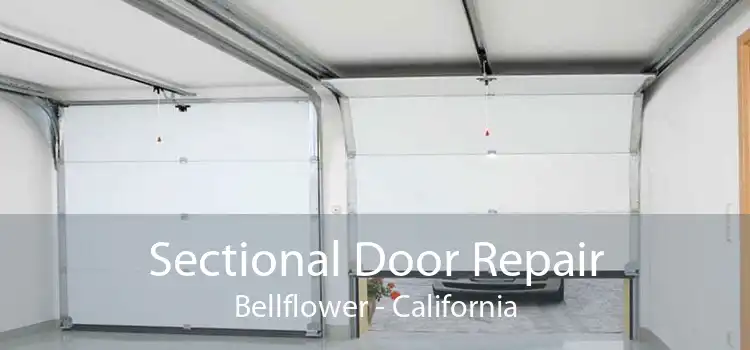 Sectional Door Repair Bellflower - California