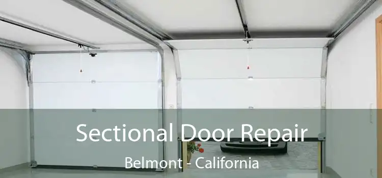 Sectional Door Repair Belmont - California