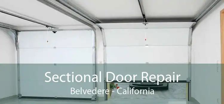 Sectional Door Repair Belvedere - California