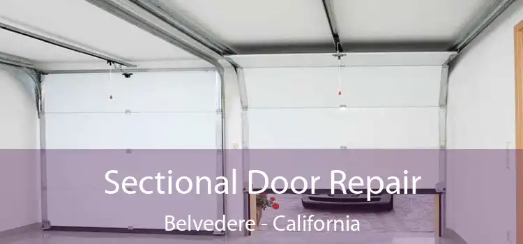 Sectional Door Repair Belvedere - California