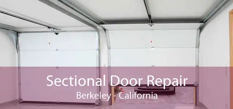 Sectional Door Repair Berkeley - California