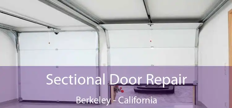 Sectional Door Repair Berkeley - California