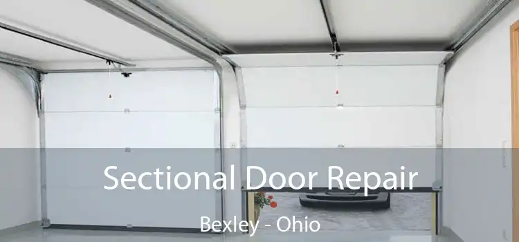 Sectional Door Repair Bexley - Ohio