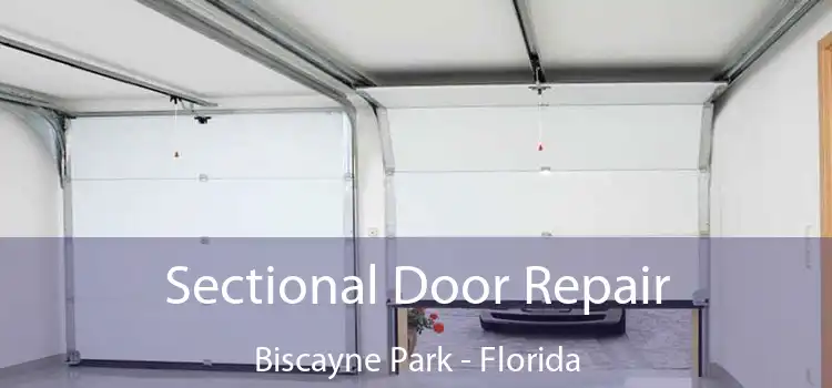 Sectional Door Repair Biscayne Park - Florida