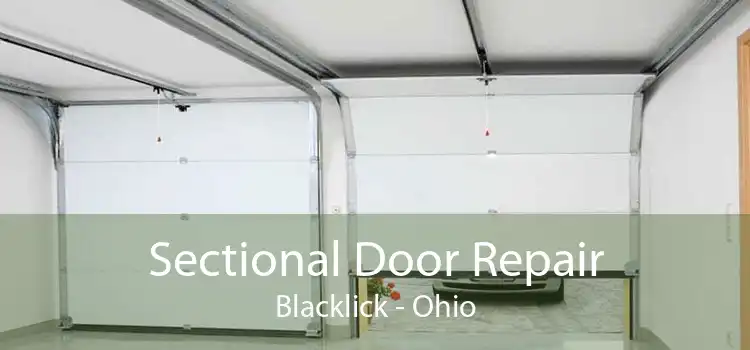 Sectional Door Repair Blacklick - Ohio