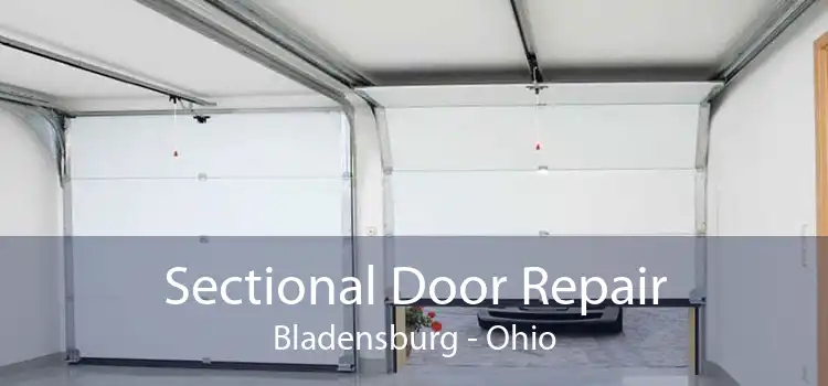 Sectional Door Repair Bladensburg - Ohio