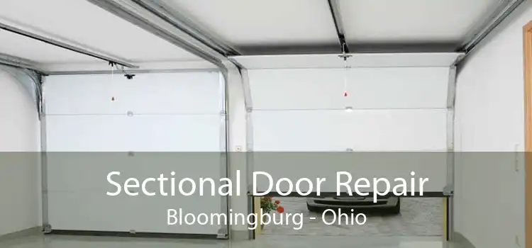 Sectional Door Repair Bloomingburg - Ohio