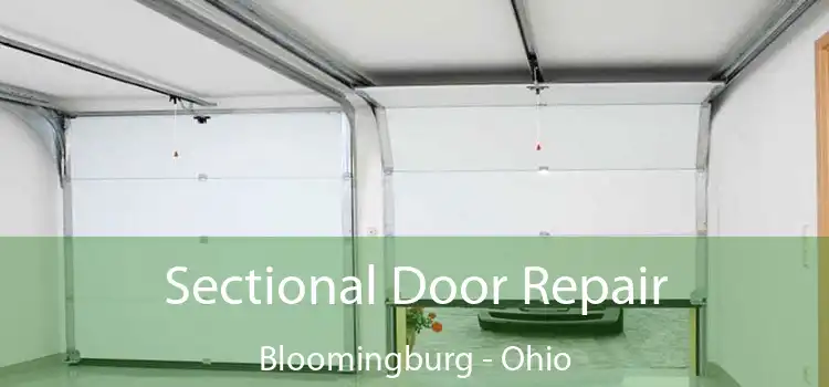 Sectional Door Repair Bloomingburg - Ohio