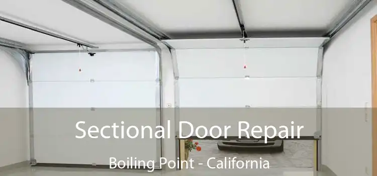 Sectional Door Repair Boiling Point - California