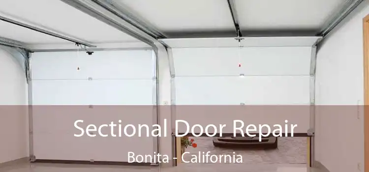 Sectional Door Repair Bonita - California