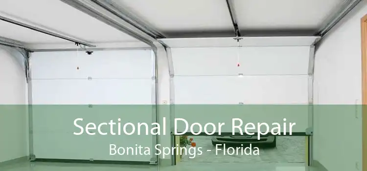 Sectional Door Repair Bonita Springs - Florida