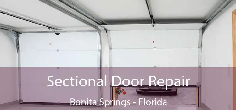 Sectional Door Repair Bonita Springs - Florida