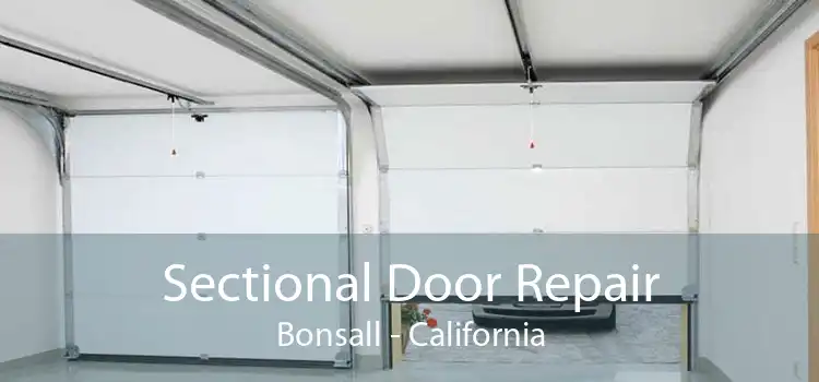 Sectional Door Repair Bonsall - California