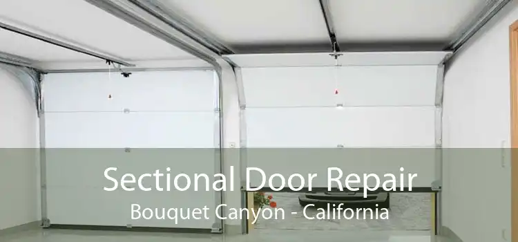 Sectional Door Repair Bouquet Canyon - California
