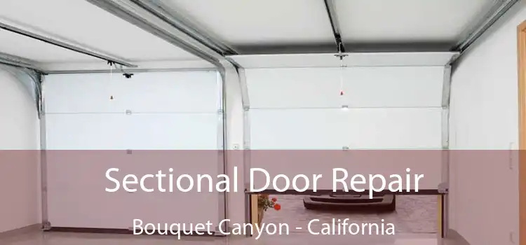 Sectional Door Repair Bouquet Canyon - California