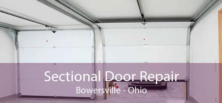 Sectional Door Repair Bowersville - Ohio