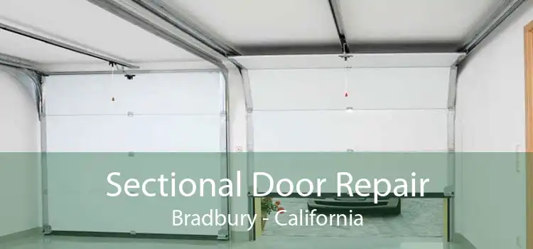 Sectional Door Repair Bradbury - California
